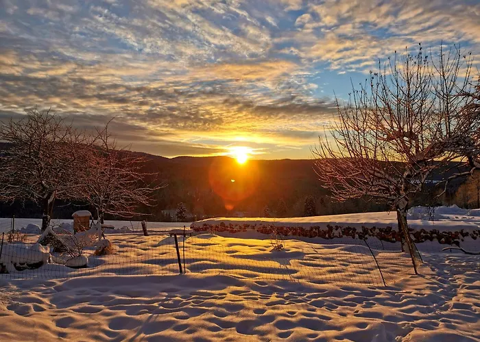 Chalet Inser Hof - Hüttenleben Bayern