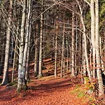 Inser Hof - Huettenleben Bayern Horská chata Mauth