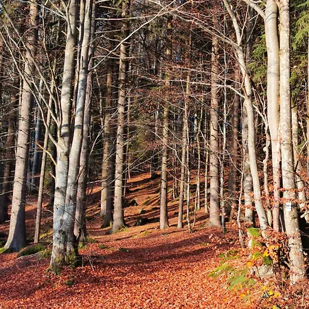 Inser Hof - Huettenleben Bayern Alpehytte Mauth